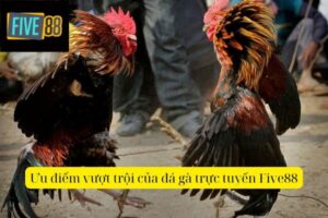 Đá Gà Trực Tuyến Five88 – Cá Cược Sôi Động 24/7